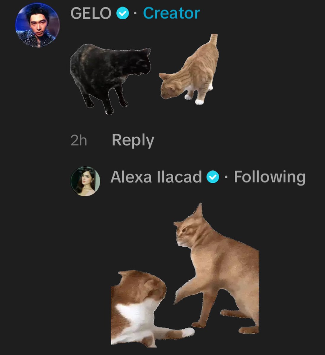 AtashaBest's tweet photo. @kittynixie31 @BGYO_Gelo @alexailacad vibey na vibey thoo. sa 1st pict same din eyyyy cutie.🪄 magnetic vibe chemistry tlaga grabeeee ang connection ng Galaxy sakanila ang lakas tlaga.🥰 Godbless mahal naming GELEX HAPPINESS.🔮
#TCD2 #Solids
#GeLex #GeLexians #GeLexers
@BGYO_Gelo #bgyo_gelo
@alexailacad #AlexaIlacad https://t.co/2ptlYjWkFA