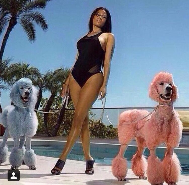 MarajAtelier's tweet photo. Nicki Minaj with animals <3 https://t.co/eHQOHCa5aS
