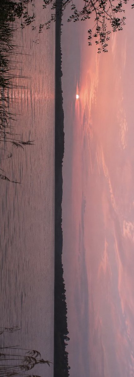 insperarise's tweet photo. pink sunsets https://t.co/CpUywFowtd