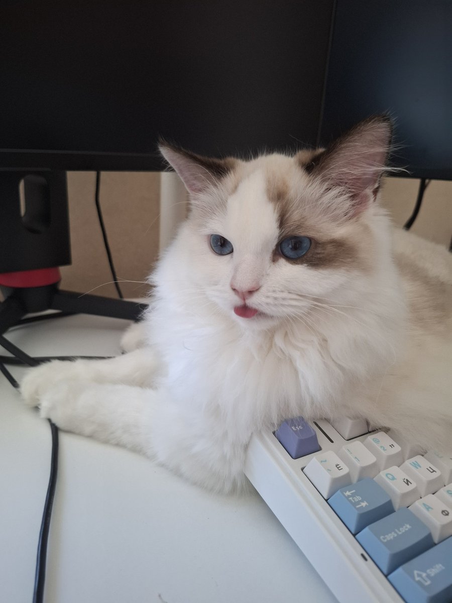 Sayumikko's tweet photo. Этот блёб кастует отрицательное количество мыслей (а значит плохие тоже уходят) https://t.co/0e0vifAJgC