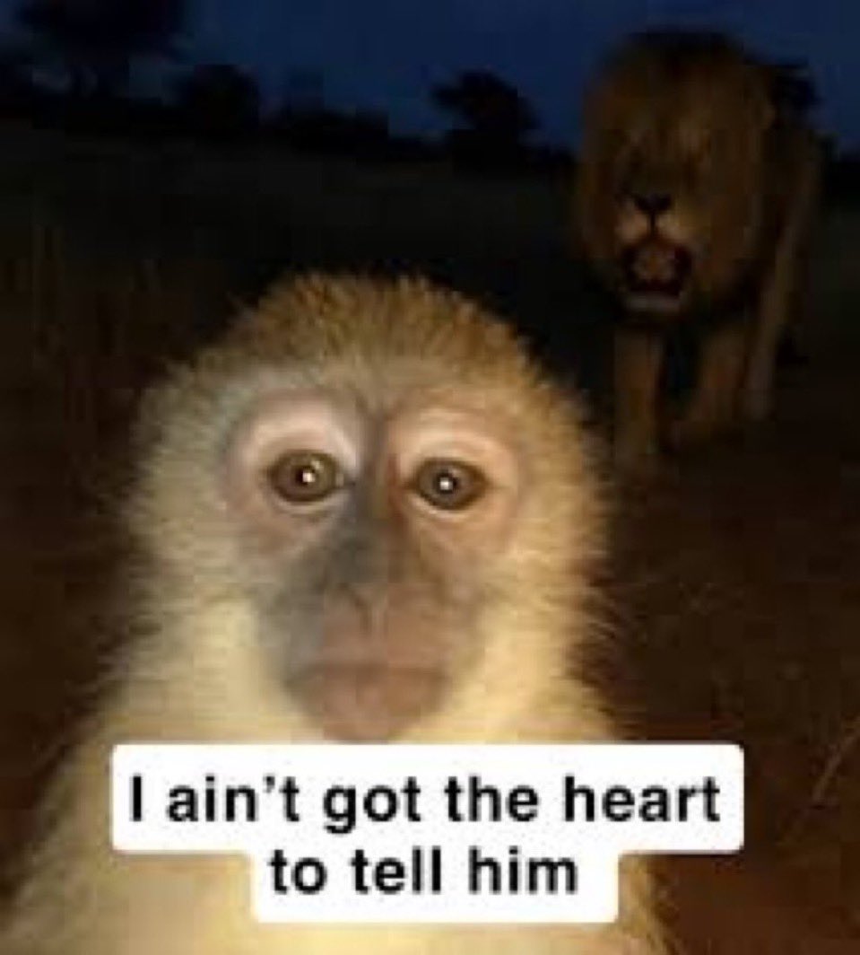 amporachan's tweet photo. i think one of my mutuals is genuinely getting groomed and i don’t have the words to let them know https://t.co/LfdvFPAJPZ