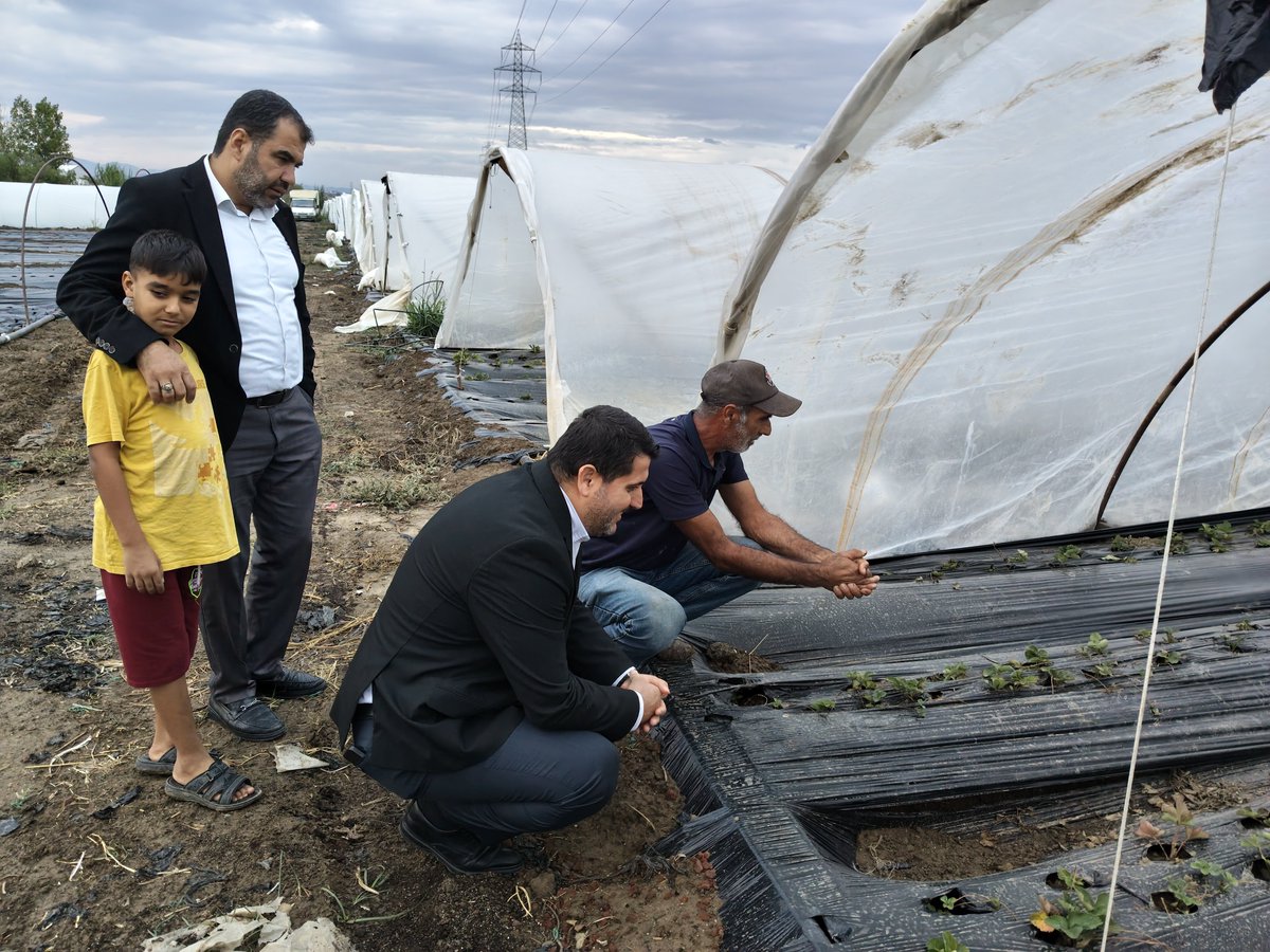 MSerifDurmaz's tweet photo. 🍓 Emekleri, alın terleri ve üretimleriyle daima tarım politikasına katkı sunan çiftçilerimizin yanındayız.

📍Çilek Serası https://t.co/NL2UdT1OcX