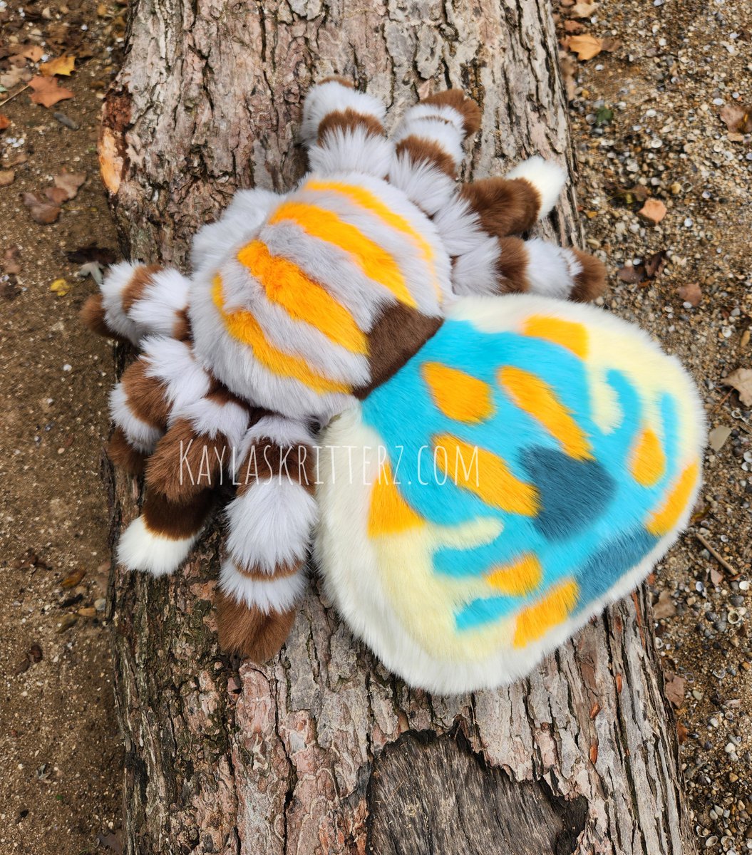 KaylasKritterz's tweet photo. New jumping spider backpack! He is extra special in that his legs and abdomen both are posable so you can have him do his display dance. This variety has an XL internal pocket and can hold more than my normal shaped jumpers. He will be available at Riley Fest  ❤️ https://t.co/DXna4Llun7