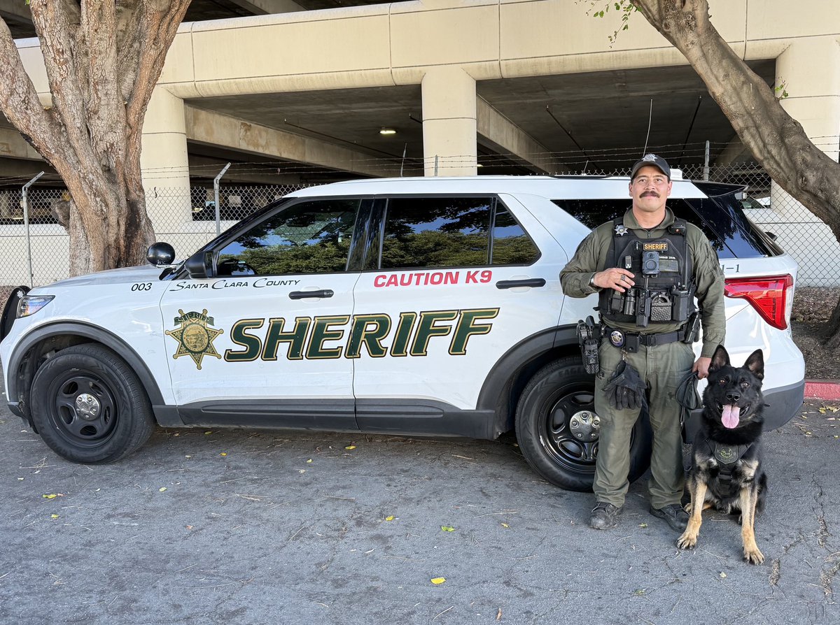 SCCoSheriff's tweet photo. K-9 KICKOFF: We’re excited to introduce the two newest canine teams at the Santa Clara County Sheriff’s Office!
 
Deputy Hale and K-9 Echo
Deputy Casas and K-9 Vadar
 
Both teams have successfully completed a rigorous 240‑hour basic handler course and are now @CommissionPOST certified. They are trained in criminal apprehension and explosive detection, and we’re incredibly proud of their hard work, exceptional skill, and teamwork over the past several weeks.
 
Please join us in congratulating and welcoming Echo and Vadar to the Canine Unit. We look forward to seeing them serve and protect our community!

#k9training #k9unit #sccso