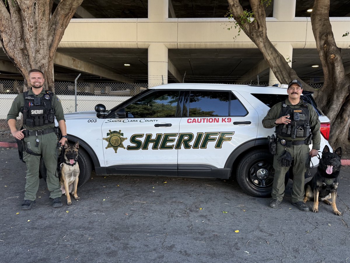 SCCoSheriff's tweet photo. K-9 KICKOFF: We’re excited to introduce the two newest canine teams at the Santa Clara County Sheriff’s Office!
 
Deputy Hale and K-9 Echo
Deputy Casas and K-9 Vadar
 
Both teams have successfully completed a rigorous 240‑hour basic handler course and are now @CommissionPOST certified. They are trained in criminal apprehension and explosive detection, and we’re incredibly proud of their hard work, exceptional skill, and teamwork over the past several weeks.
 
Please join us in congratulating and welcoming Echo and Vadar to the Canine Unit. We look forward to seeing them serve and protect our community!

#k9training #k9unit #sccso