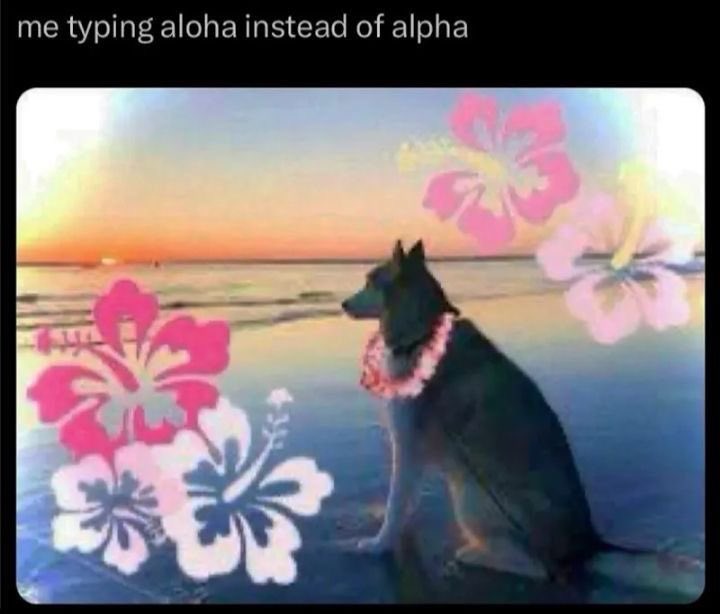 seachids's tweet photo. pura pura nonchalant pdhl aslinya ngidam baila https://t.co/hSOj1fXLia