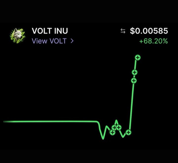 Shikarisidu's tweet photo. @K1d_Crypt0 Voltinu is back again @Pablo_cro @Voltinu_RH @travladd @ianheinischmma @GilbertDurinho @vladtenev @HopiumPapi @itsthatgigi @elonmusk we coming for you artificial inu https://t.co/fflz04h69f