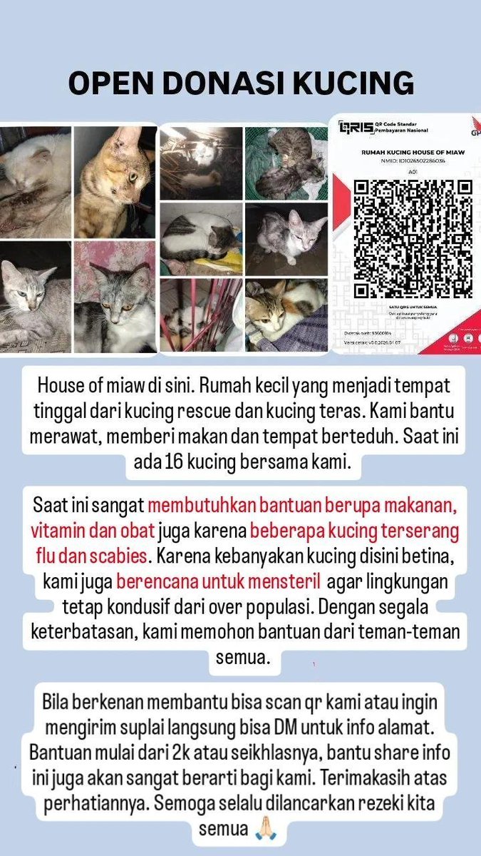 inthejunne's tweet photo. [HELP RT/like]

OPEN DONASI KUCING 🐈 

Bismillah yuk berbagi mulai dari 2k aja atau seikhlasnya untuk bantu kehidupan kucing di HOM, vaksin, dan steril. 

Total ada 15 kucing di sini. Bantuan kecil akan sangat berarti. bisa cek IG @.houseof_miaw untuk lengkapnya. terimakasih 🙏🏻 https://t.co/GGdf8Srt5w