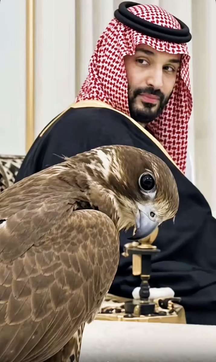 MISHALALSAUD19's tweet photo. #المشعل
🟥 اليوم الوطني 🟥  يوم المآثر *  يوم كريم اسبغ الله جل جلاله نعم لا تعد ولا تحصى * نستذكر فيه ما قدمه هذا الوطن المقدس لنا وللعالم  🇸🇦✔️🌹🌙🌧️🤍❤️🤲🏻👍🏻🇸🇦
شيلة من المنشد الكويتي المتميز عبدالله بو جديح لوطنه الخليجي السعودي *
https://t.co/bot735Se1M https://t.co/3CIarHFfP6