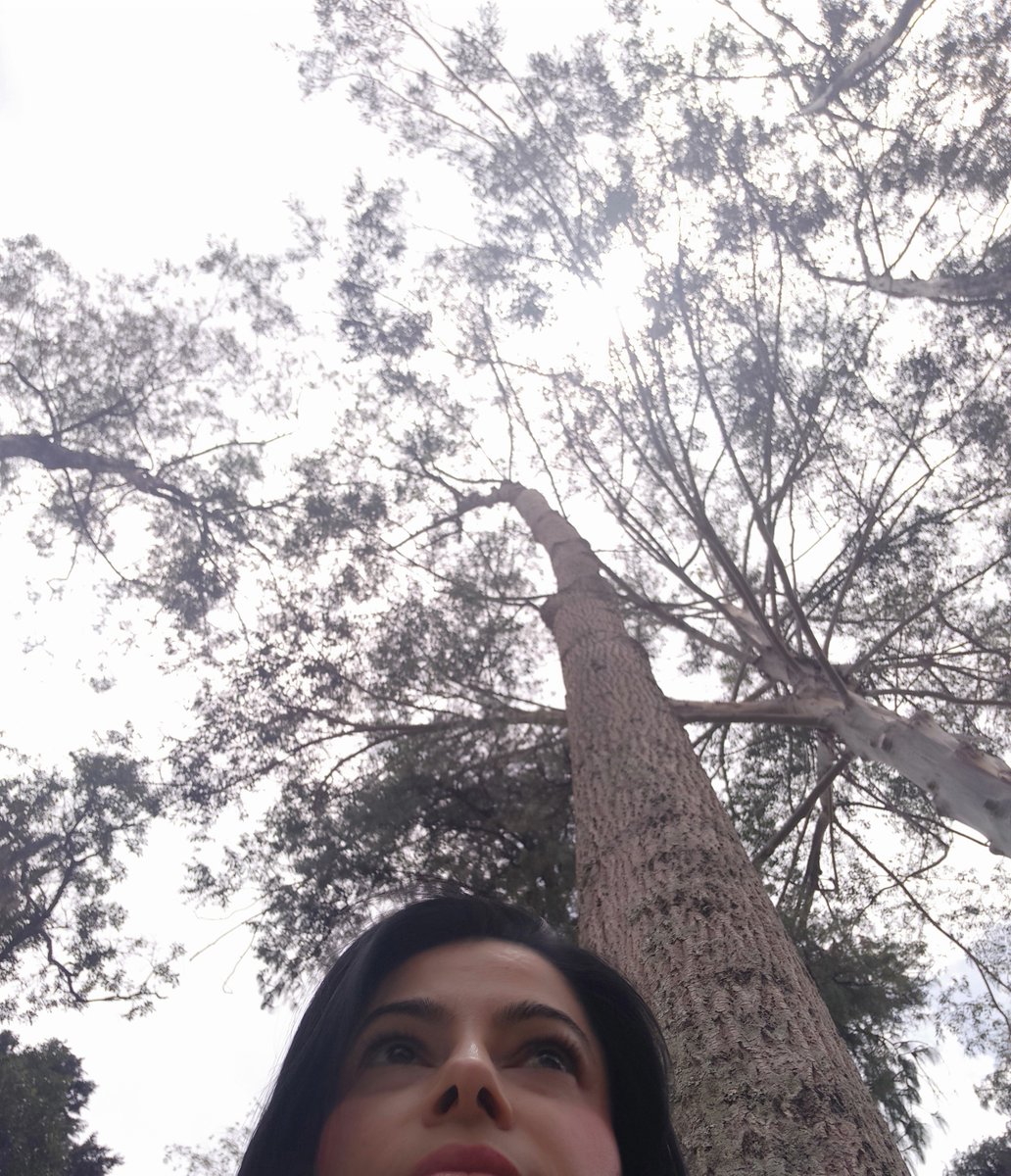 Mahencla's tweet photo. 🌳 ⛰️ https://t.co/i5etARorvS