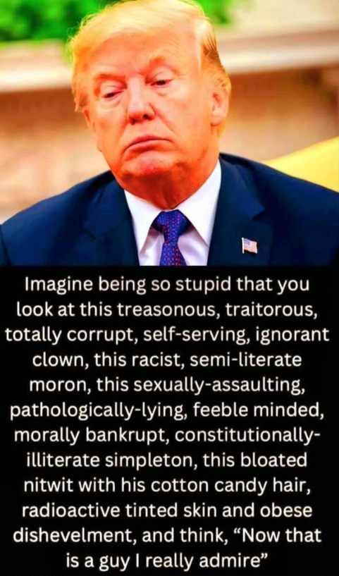 brett_1955's tweet photo. @Kathyo72l trump tries to put down anything that speaks against it (YES it) https://t.co/wAhE5mFuwT