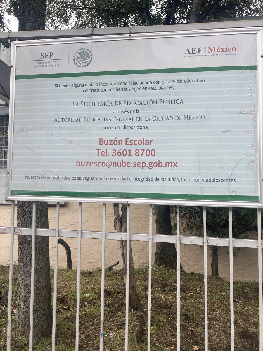 INSCUICUILCO's tweet photo. Entiende Claudia Brugada les vas a pasar las cazuelas a 10 m sobre sus cabezas

Instituto nacional de pediatría tiene niños con cáncer tiene que estar en reposo y se los vas a pasar enfrente de las ventanas. Dales tranquilidad

En vez de atender las clases van a voltear a contar https://t.co/p9vnGfD0bO