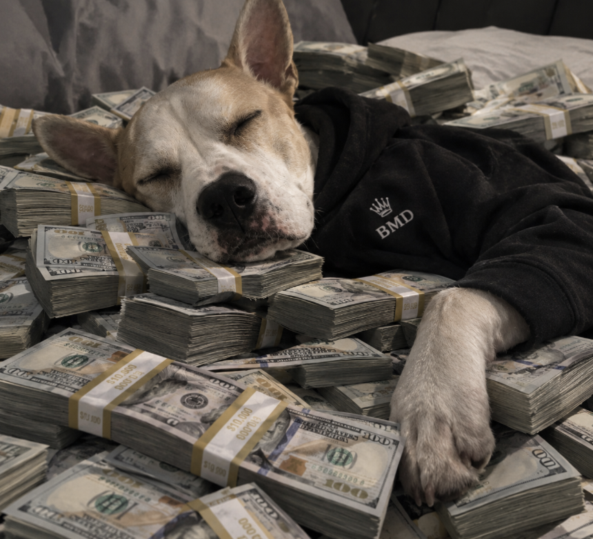 BusinessManDogD's tweet photo. Dreaming in green. 💵🐶💤
$BMD https://t.co/0rJVXR53z3