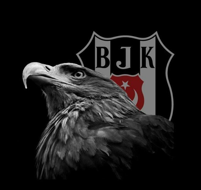 Rabia_dkmn's tweet photo. Başarılar BEŞİKTAŞ'ım.. Şans yanında olsun.. @Besiktas 
#Kartalgolgolgol 
#BeşiktaşınMaçıVar  
#BeşiktAŞK 🖤🤍🦅🦅 https://t.co/VYpqnvIBsf