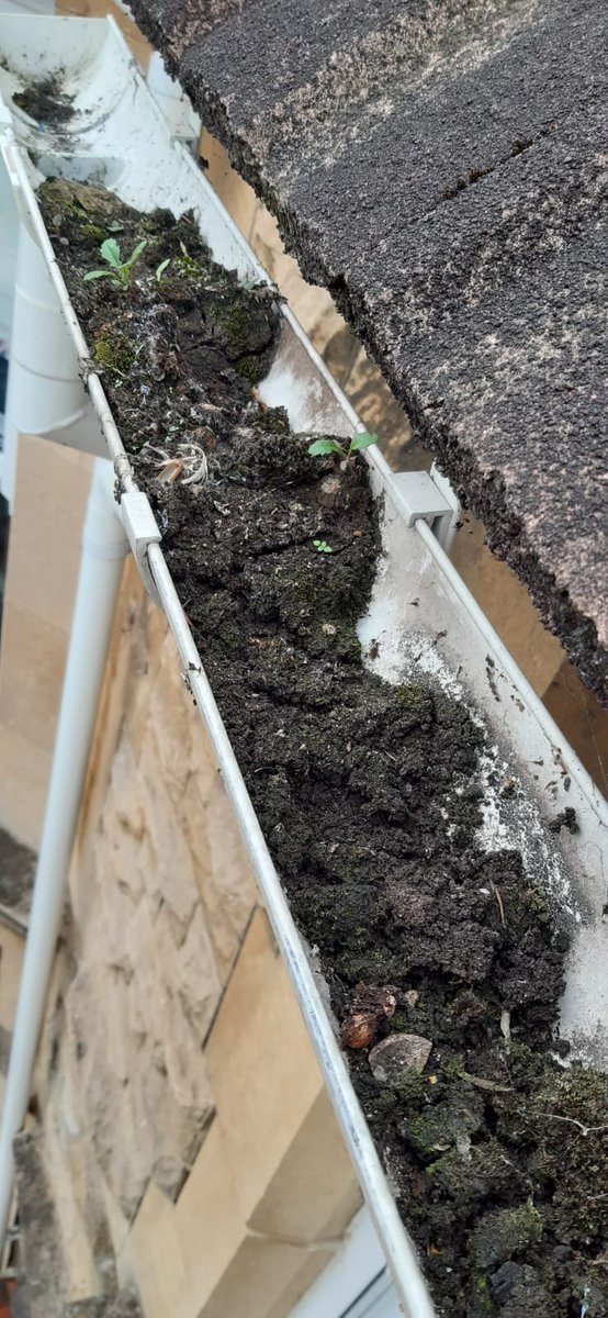 bathwindows's tweet photo. Cleaning gutters at Forester Road in Bath. https://t.co/9PlNofVNoW