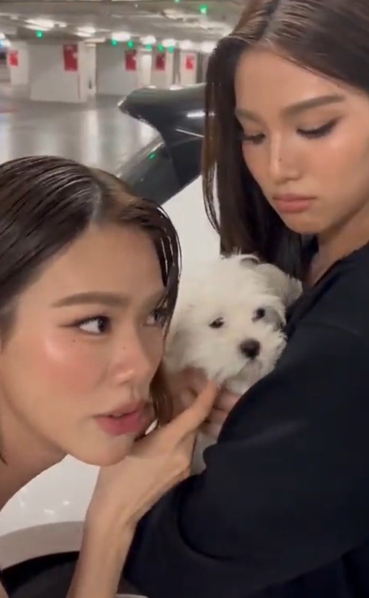 1tamjai's tweet photo. เข้าใจทั้งหมด ㅠㅠ https://t.co/XYQ8mchrho