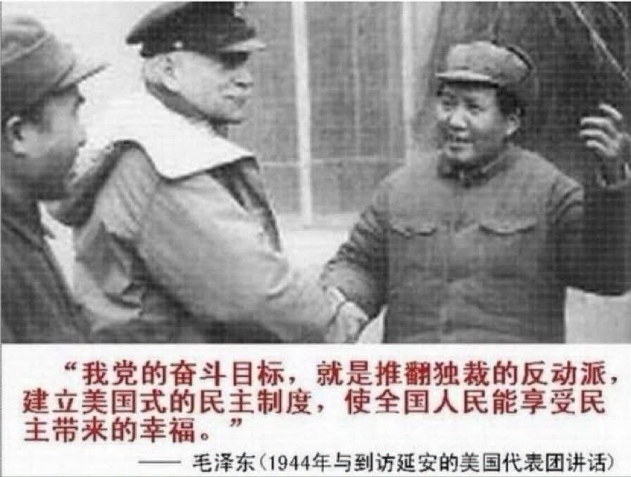 WilsonTsang1982's tweet photo. @tangangqinmao12 https://t.co/ys1DxC1af5