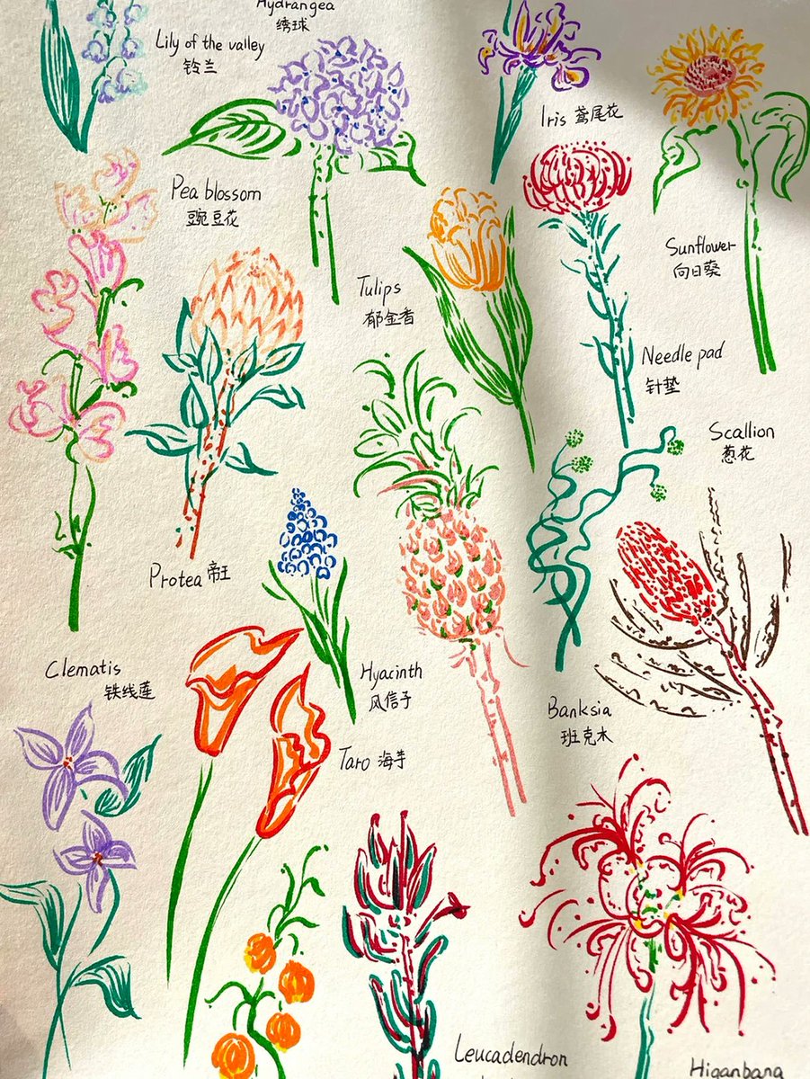softz943157's tweet photo. Want to pick up a fun new hobby this weekend Try watercolor doodling—no fancy supplies needed, just paper and a few basic pens to make cute little art bits! https://t.co/thQXCviYOT
