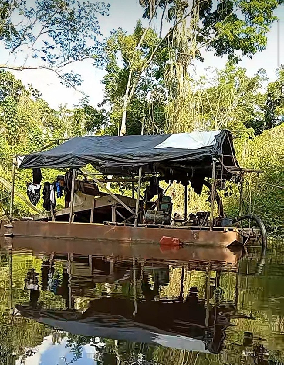 Fritz_A_Sanchez's tweet photo. #Atención #Venezuela

Cuatro años después de documentarse su valor etnobotánico, la cuenca del río Aro sigue sufriendo una degradación ambiental sin precedentes...

Balsas mineras ilegales continúan operando con total impunidad en su cauce, destruyen un importante afluente del Orinoco, aniquilan biodiversidad, conocimiento ancestral Pemón y campesino, amenazan la producción agrícola y pecuaria de la cuenca baja y contaminan toda la región ... y el #Estadovenezolano no actúa 😞
🙈🙉🙊
#AmbienteSinDerechos
#SurDelOrinoco