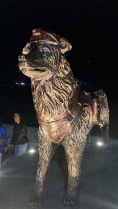 Venezuelan rescue dog Tsunami honored with a statue in Maracaibo

A bronze statue has been unveiled to honor Tsunami, who has helped rescue teams locate 26 surv