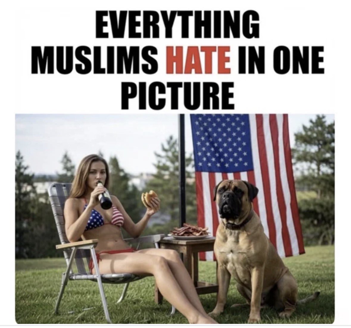 NevadaLiberty64's tweet photo. @EndWokeness https://t.co/dOpVIZl6dN