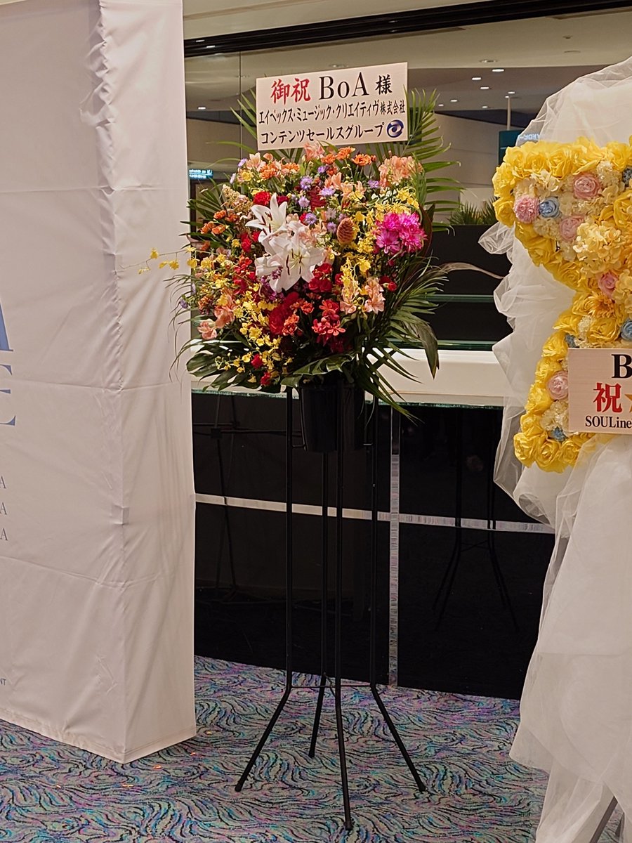 tombo2007's tweet photo. BoA the LIVE 2026 最終日 in YOKOYAMA
最高に盛り上がったライブでした✨
学生時代に聴いてた思い出の曲をたくさん歌ってくれてありがとう！
11月のアルバムを楽しみにしながら、
これからもついて行きます👍
#BoA #BoAtheLIVE https://t.co/xkllGtnOSO