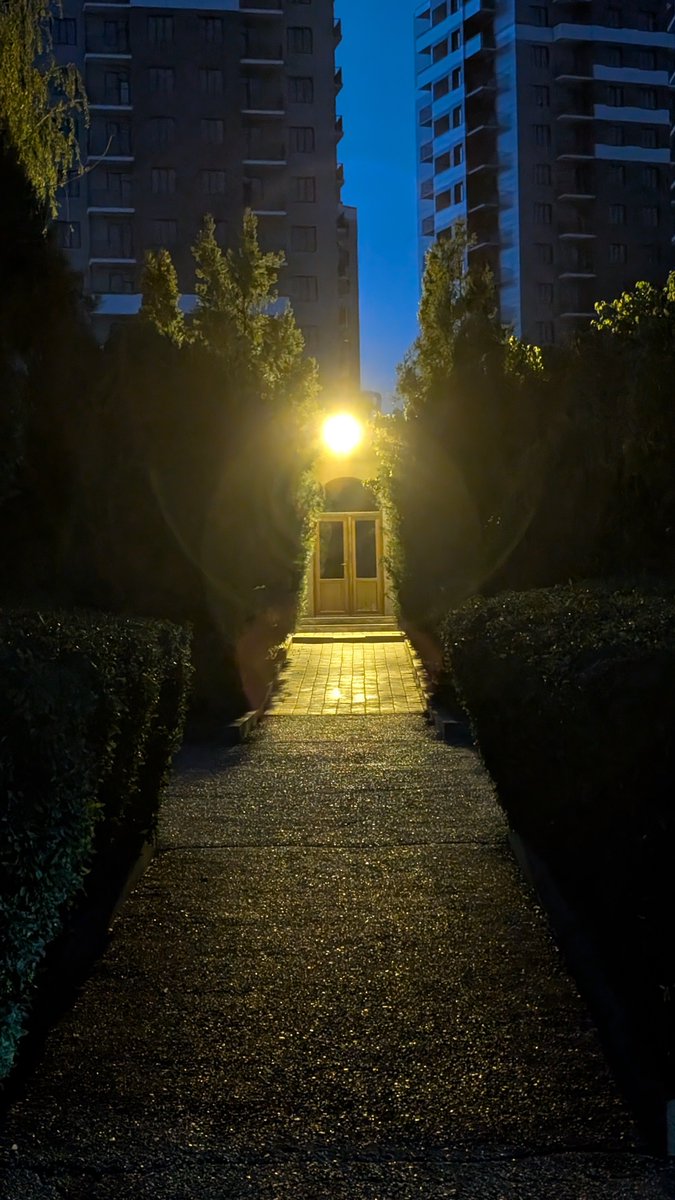 bosomoga's tweet photo. #Armenia #travel #путешествия #улицы #streetphotography #street #night https://t.co/jrKRbzTzdy