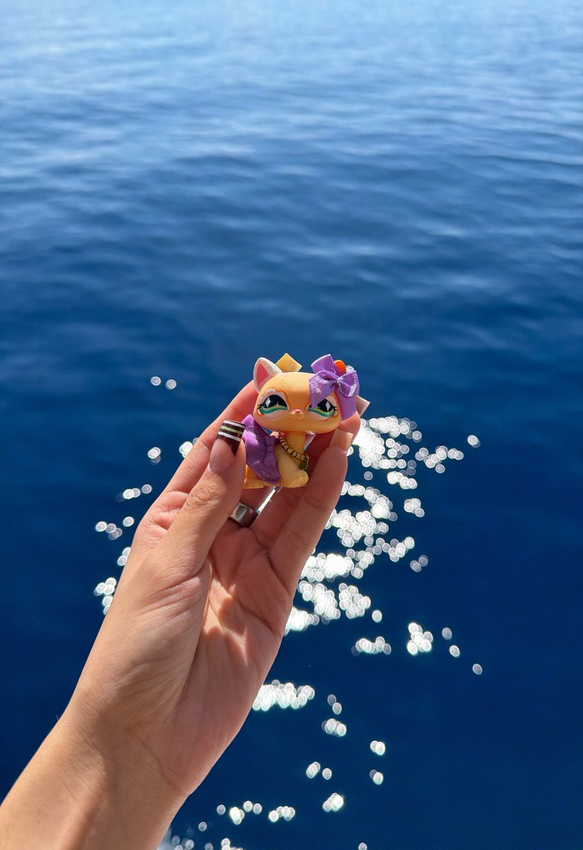 sarsarlps's tweet photo. She’s out at sea 🌊 (taking this picture over the rails was the most terrifying thing I’ve ever done in my life) https://t.co/SZz48c4VIr