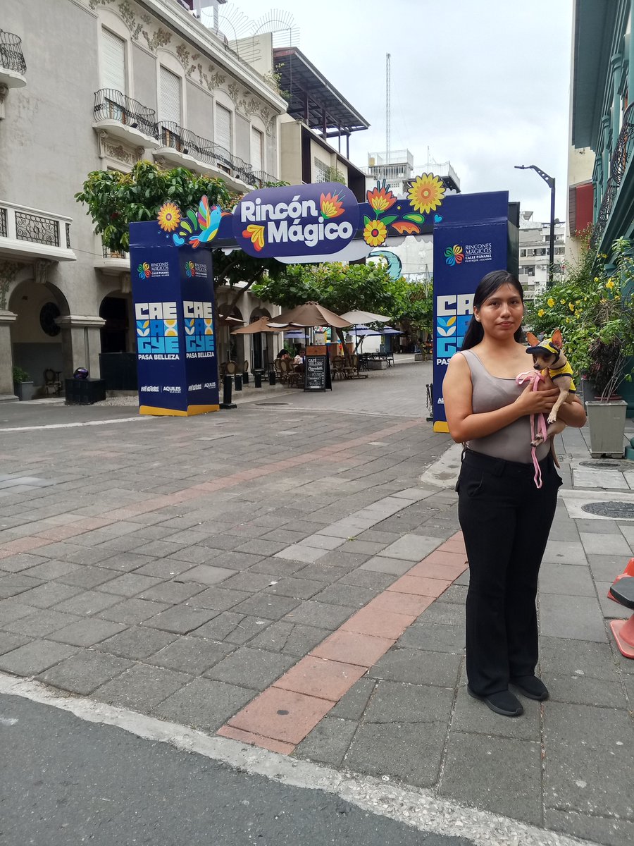 Bcr3010's tweet photo. Visitando #RutaCentro #GuayaquilCamina #GyeEstaActivo #CiudadDeTodos #ConstruyendoLaCiudadDeTodos https://t.co/fc8znzNF44