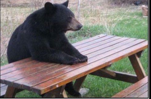 TraiDay79's tweet photo. Me waiting for this McCarthy offense to look different from the Arthur offense….. https://t.co/NmMgmKHVtn