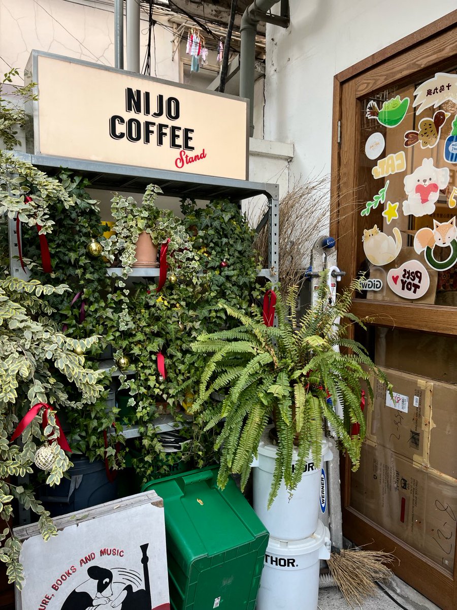 LisbethNav2ndh's tweet photo. [Walking my old boots past the coffee shop I used to frequent every morning—these same streets still hum, but my pace’s softer now, and I’ve got a new plant in my bag. Small changes, big warmth!]， https://t.co/wlbaWeqqti