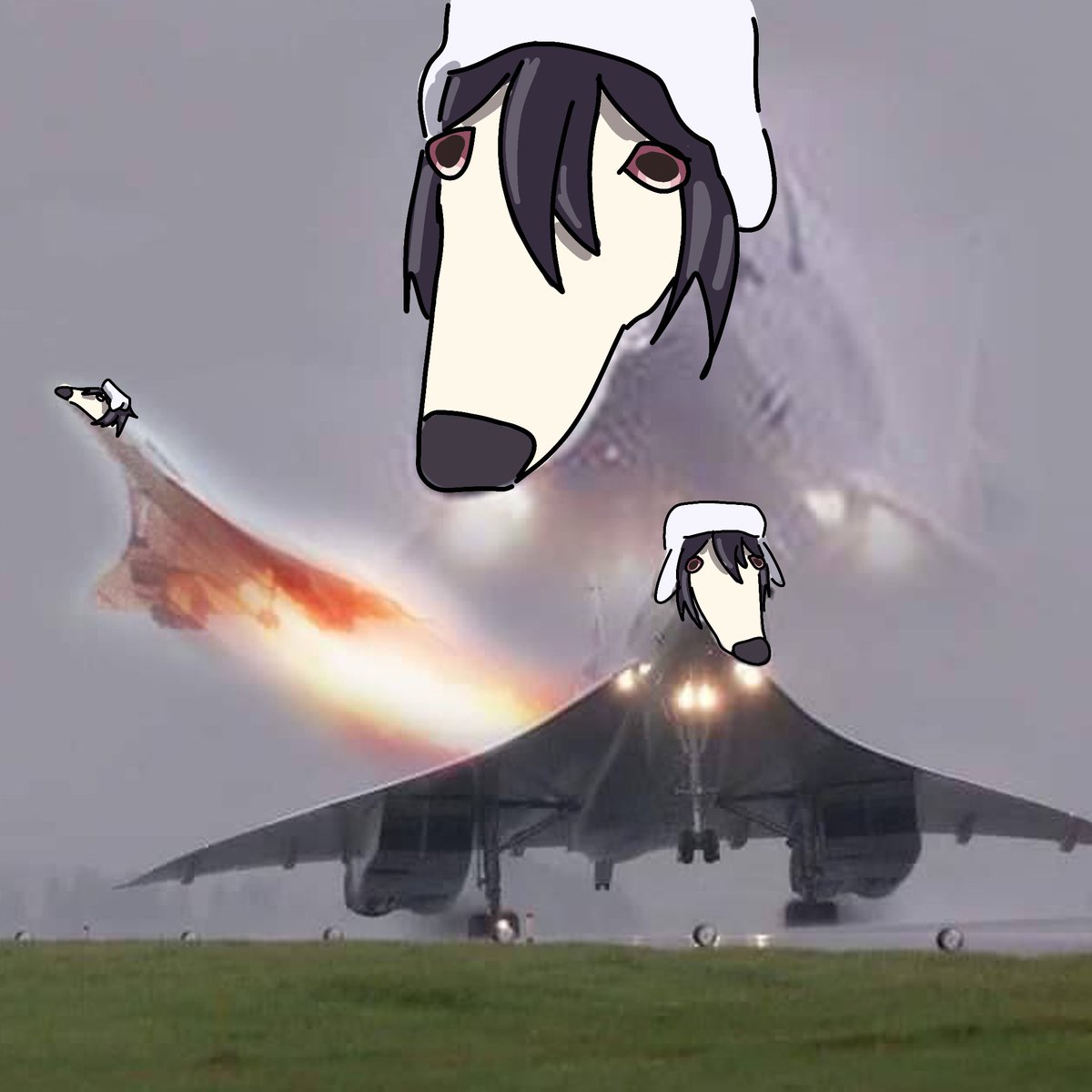 sskk_4live's tweet photo. Fyodor borzoi #bungo #bungoustraydogs #fyodor https://t.co/DU4gKsK4bi