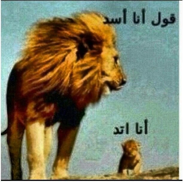 zotjill's tweet photo. ساول مع روبين https://t.co/qBkyHu7bhA