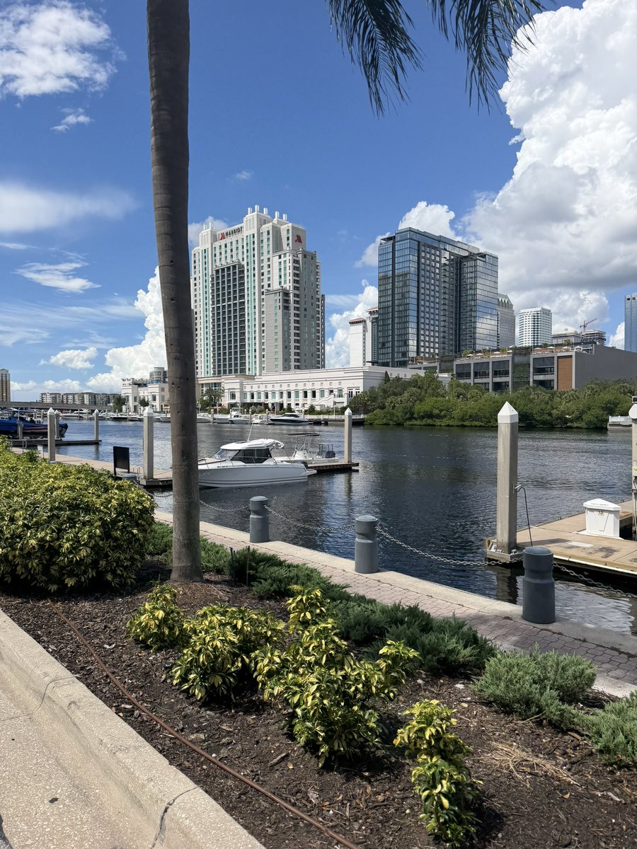 CracraftFan's tweet photo. Finding inner peace before the Dolphins game. 

I advise you do the same. https://t.co/WyQV1BOqMq