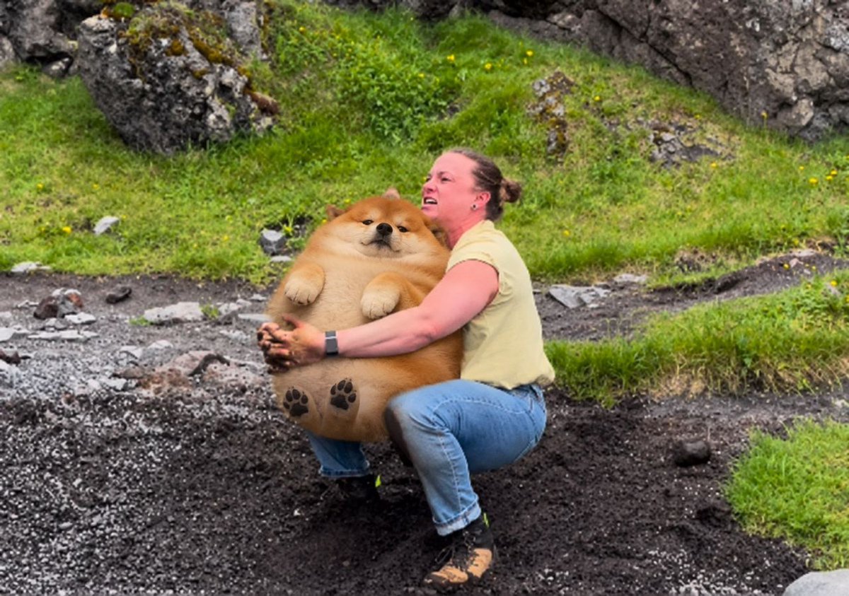holdinu_SF's tweet photo. @frankdegods we are holding the inu!! https://t.co/vkf6LM6gbw