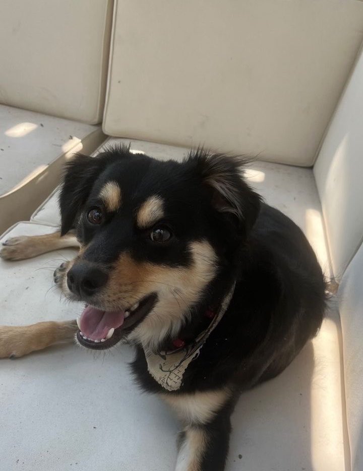 jackieventss's tweet photo. @hotmidfielder he says hi mom https://t.co/SvkYuOsqe5