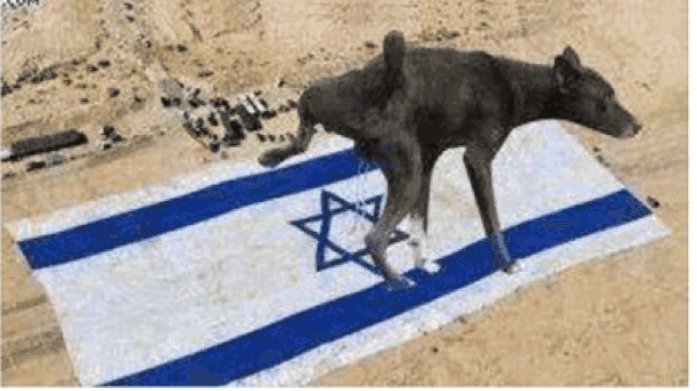 onion_i90's tweet photo. FUCK ISRAELI 🖕 https://t.co/bS1heRNtuh