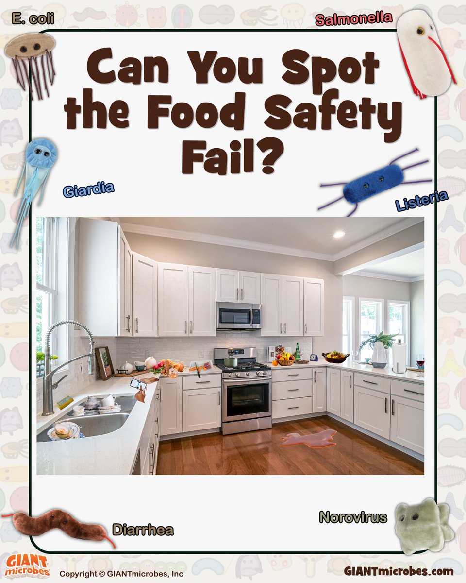 GIANTmicrobes's tweet photo. 👀 Something here is looking a little... sus-ceptible to germs. 🦠
Can you spot the food safety fails? 🔎🌭
Drop your guesses in the comments, then swipe to see how many you got right! 😂
Don’t let them spread!
#GIANTmicrobes #FoodSafetyMonth #FoodSafety #FoodBacteria https://t.co/TwD4RUdwnW