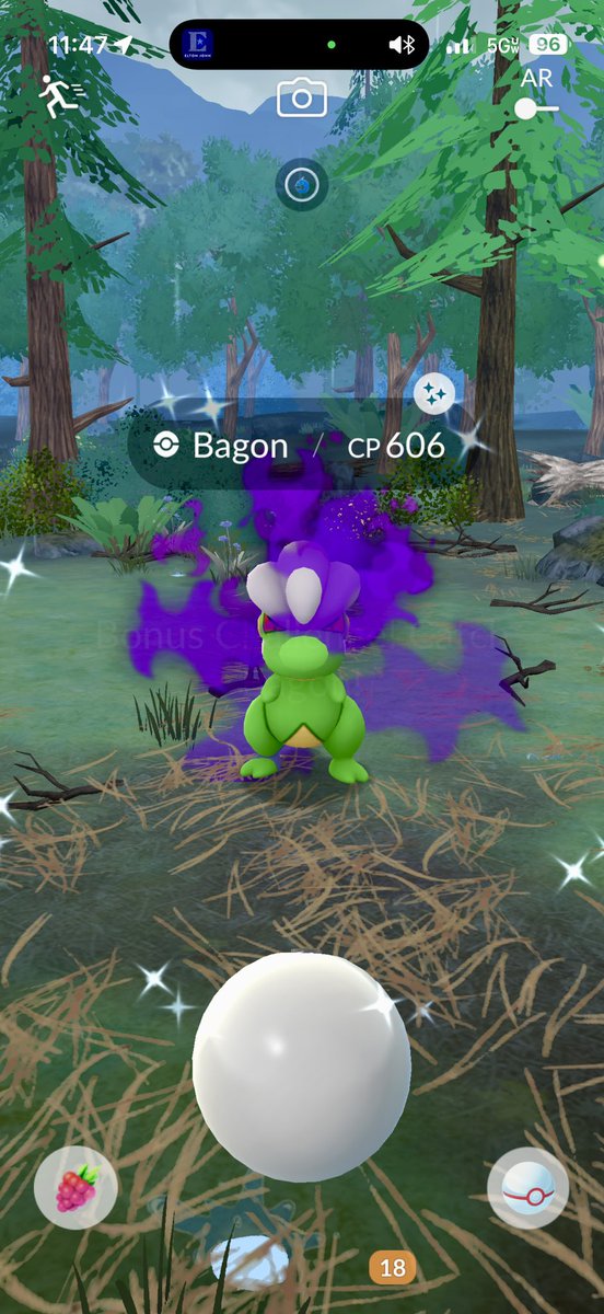 HermesNinja's tweet photo. 💚✨💚 Yay!! Shiny shadow Bagon! 💚✨💚

#PokemonGO #ShinyPokemon #ShinyCheck #ShadowPokemon https://t.co/6a9IAp12Mi
