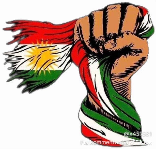 Merwan1586882's tweet photo. @siyahsancakx Kurdün kartalı tc kartalını paramparça eder.. Biji Kurdistan. https://t.co/Yq0Q3DB5Wj