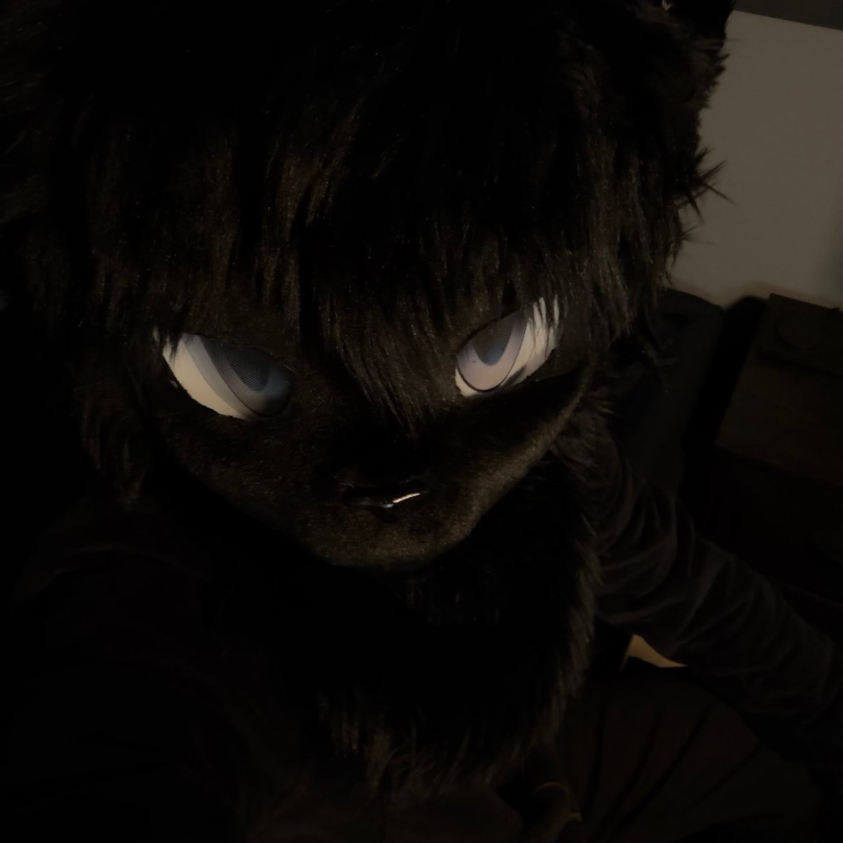 vixnoct's tweet photo. you can't see this cat at night 🐈‍⬛

#furryㅤㅤㅤ https://t.co/l02xCBJcbA