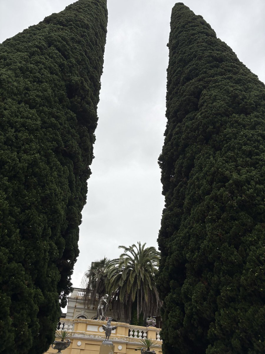 oliikahx's tweet photo. 🌴OMG
do u like this?? https://t.co/U3IxbcPfjH