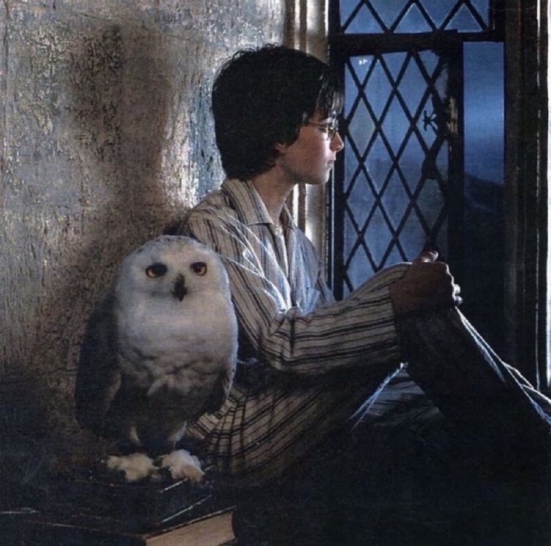 TheDailyHPotter's tweet photo. Harry’s first night back at Hogwarts 🦉 https://t.co/654H37sp0a