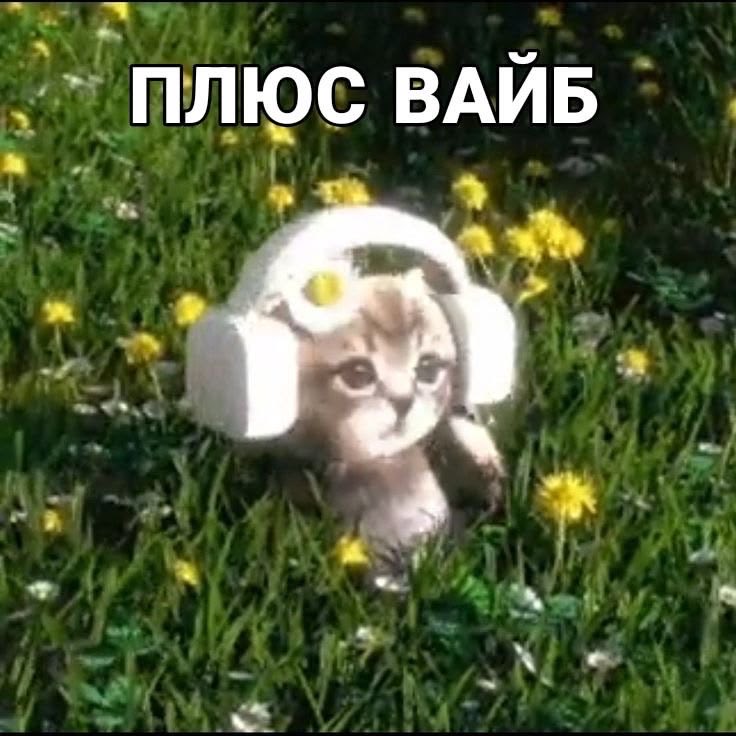 K1ssLol's tweet photo. Ваши любимые исполнители?? 
Я люблю слушать все, но больше всего слушаю Михаила Круга, Kempel, Kamz0ner, аааааа ну и все да https://t.co/xaGizDGs8c