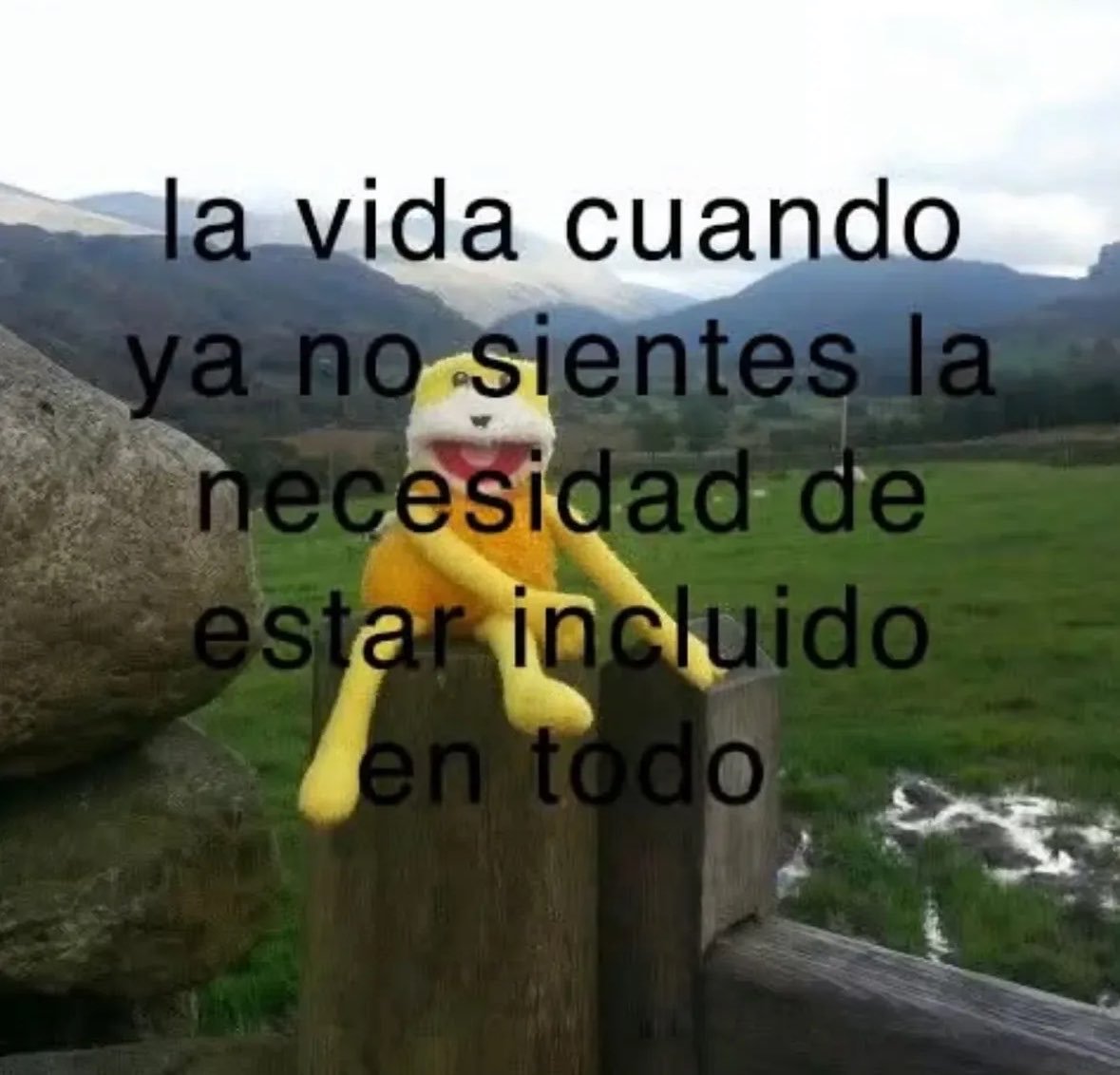 indirectosofi's tweet photo. https://t.co/f1hjHpPODK