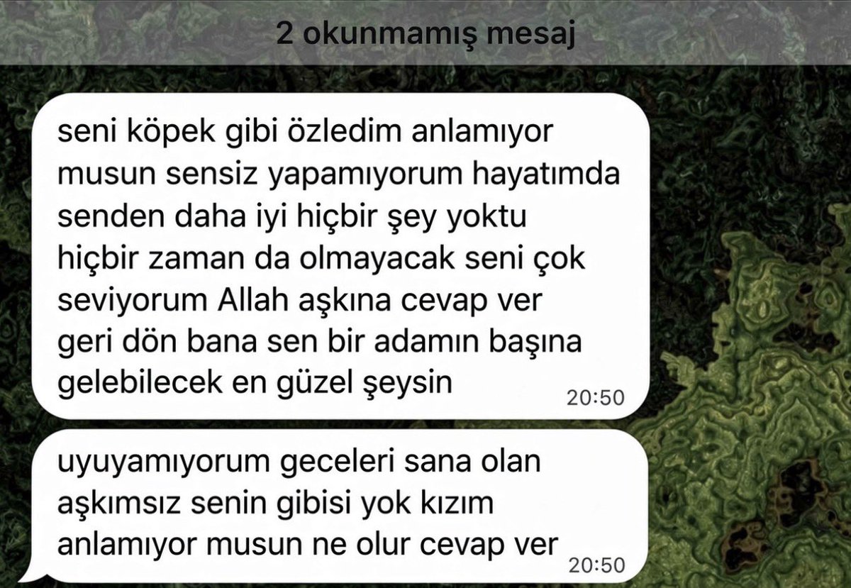 bonykasarcr's tweet photo. BENİM İT GERİ DÖNMÜŞ 🥀 https://t.co/0cWhEv6fff