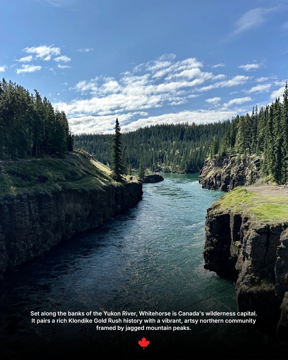 FlightHub's tweet photo. Whitehorse is the dark horse of Canadian travel. And it just won.🥇 🏆

Drive 45 minutes to Carcross and sandboard the dunes surrounded by snow-capped mountains. 🏔️ 

Soak in Eclipse Nordic Hot Springs with mountains all around you and the northern lights above if you time it right. End the night at Klondike Rib & Salmon with caribou stew and a story to tell when you get home.

Whitehorse : le joyau caché du Canada. 

Sandboard sur les dunes, sources chaudes sous les aurores boréales, puis ragoût de caribou au légendaire Klondike Rib & Salmon. 😊

#FlightHub #FlightHubFinds #FlightToDreams #Canada #Whitehorse