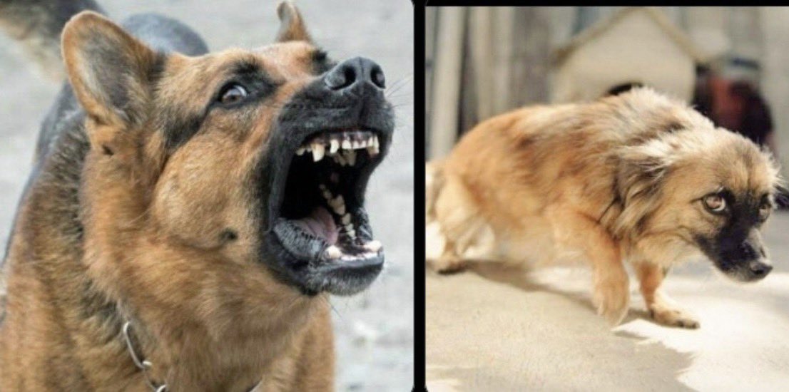 Kelvinom7's tweet photo. Man U before and after the game 😅🤣😂 https://t.co/yDJ1NPuYBH