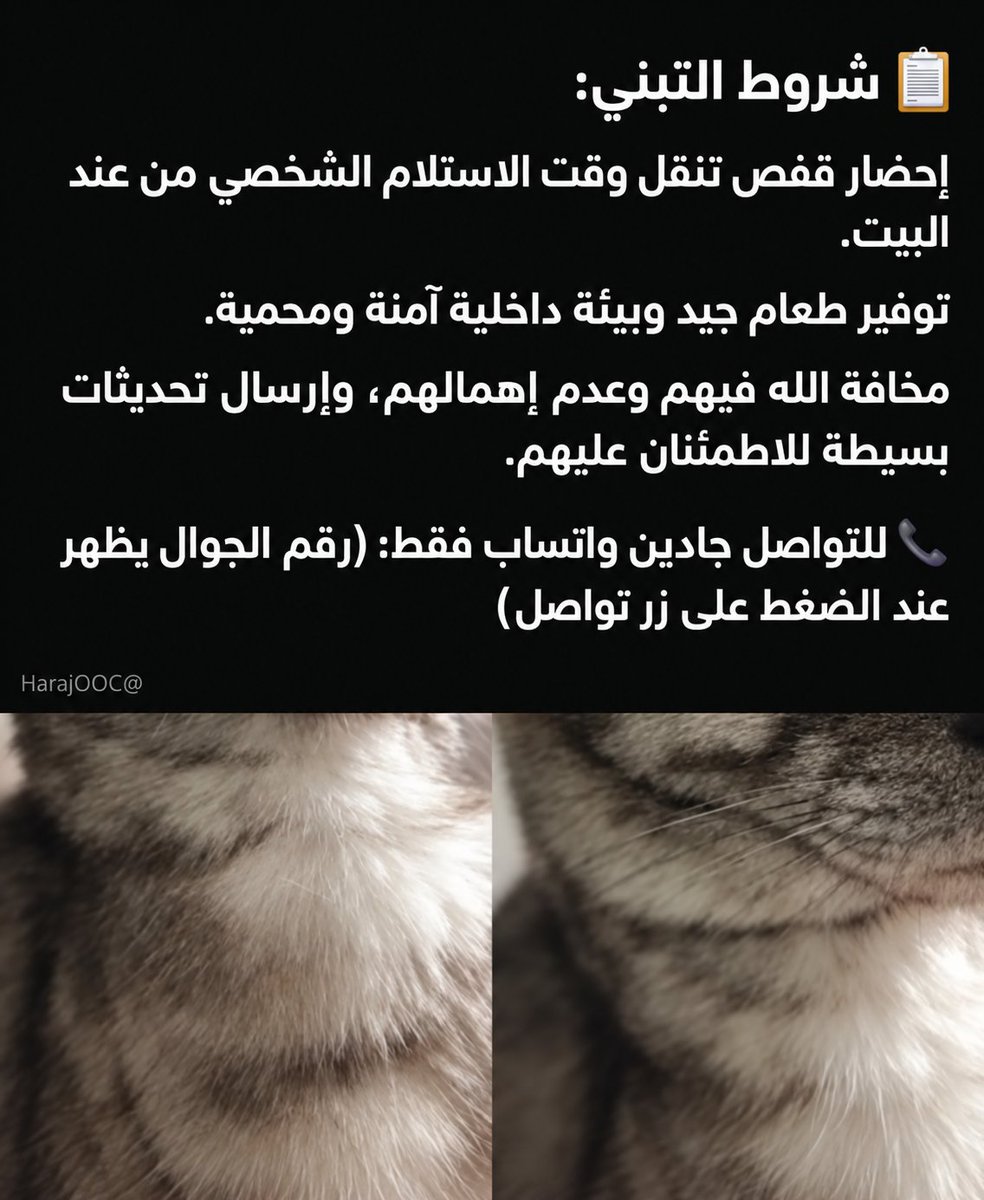 HarajOOC's tweet photo. ما تبيني وانا جايك اجيب لك كنتاكي بعد 💀💀💀ج https://t.co/pIdIKwUK0O