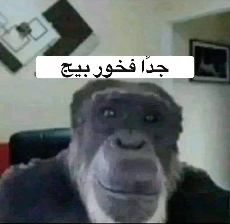 1liBadr's tweet photo. عبد الصمد وهو يشوف فرقته يطلبون اشياء من المهنا : https://t.co/KkiEs86hom